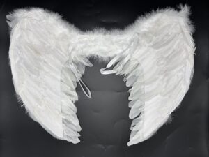 Ala Angelita C/Plumas 60*45cm