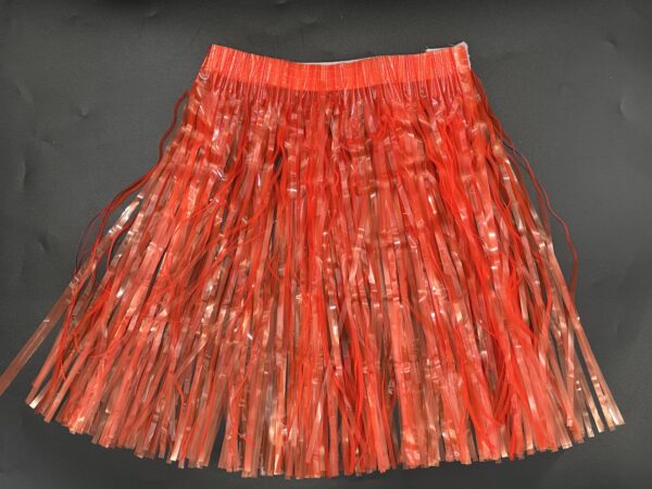 Tutú Hawaiana Fluor 60*40cm*12U - Image 2