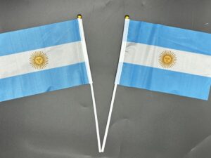 Banderas Argentina de Mano 14*21cm*50U